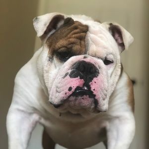 Meet your Posher, Steven